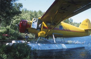 Flight into the park